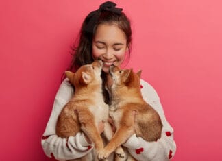 DogHero é opção para quem deseja uma renda extra no Carnaval DogHero - Petlove
