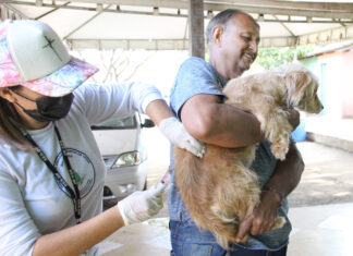 Vacinação antirrábica nas áreas rurais começa nesta quinta, 1º de junho Vacinação antirrábica cães e gatos