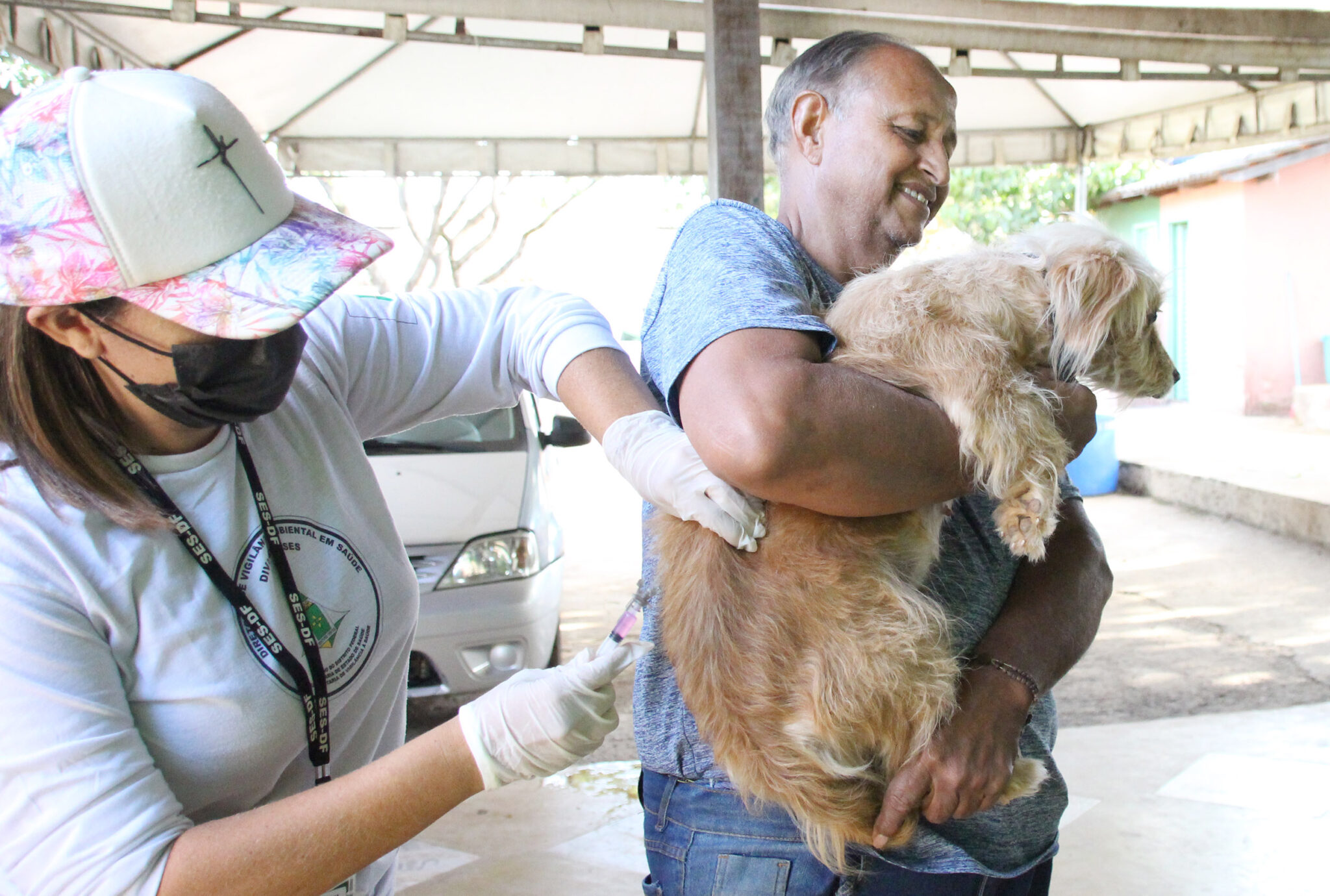 Vacinação antirrábica cães e gatos