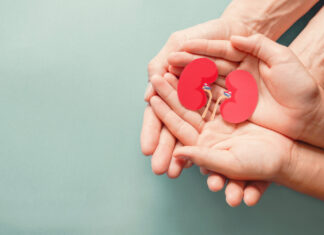 Câncer de rim: SBOC chama atenção para a importância do diagnóstico precoce Câncer de rim