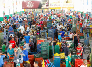 Ceasa-DF ganhará novas instalações elétricas e site para vendas on-line Ceasa-DF