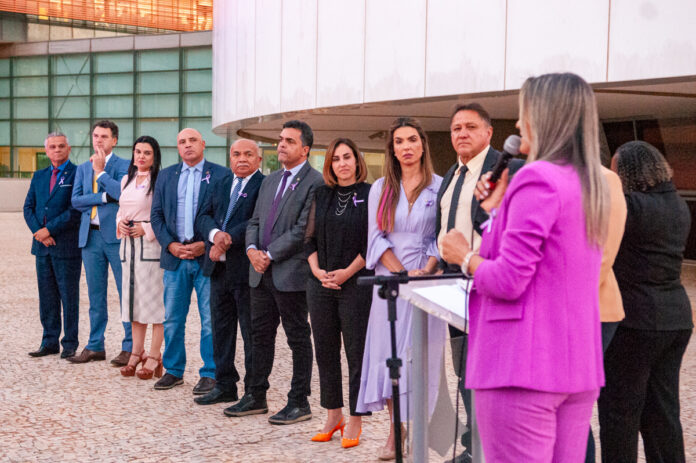 Agosto Lilás CLDF Agosto Lilás CLDF