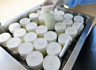 Doação de leite materno em janeiro é essencial para manter estoques Doação de leite materno