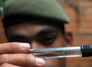 Exército Brasileiro entra na luta contra a dengue no Distrito Federal Exército Brasileiro no combate à dengue