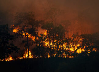DF está em alerta vermelho para baixa umidade e risco de incêndios florestais Monitor do Fogo - queimadas - incêndios florestais
