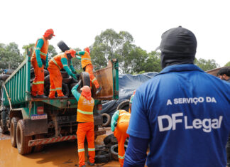 Dengue: denúncias contra sujões podem ser feitas em 16 pontos físicos denúncias contra dengue DF Legal GDF