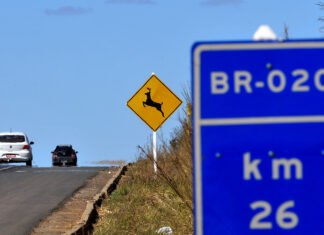 Trânsito na BR-020 será desviado para implantação de terceira faixa BR-020