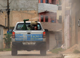 Casos de dengue caem 97% no DF; veja ações do GDF de combate à doença em 2025 Saúde cria grupo de planejamento e equipe de supervisão contra a dengue