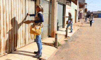 Agentes do GDF no combate à dengue