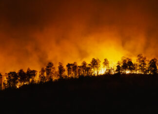 Queda da umidade relativa do ar requer atenção ainda maior contra queimadas incêndios florestais queimadas