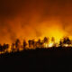 incêndios florestais queimadas