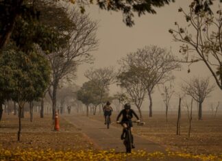 Especialista do Inca alerta para risco da fumaça das queimadas à saúde fumaça incêndios Brasília