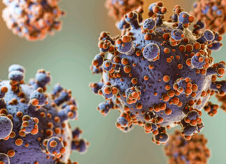 África declara emergência em saúde pública por epidemia de mpox mpox varíola dos macacos