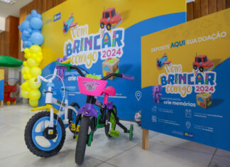 Zoo recebe brinquedos para a campanha Vem Brincar Comigo 2024 vem brincar comigo 2024 GDF