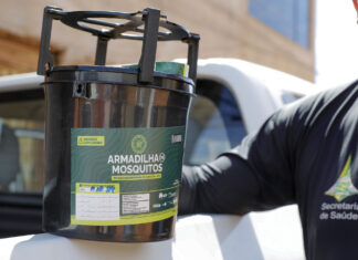 GDF intensifica instalação de armadilhas contra o mosquito da dengue armadilha aedes aegypti