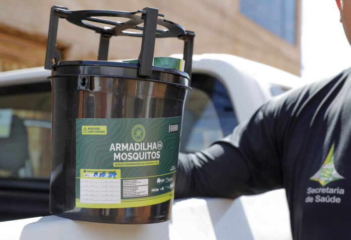 armadilha aedes aegypti armadilha aedes aegypti
