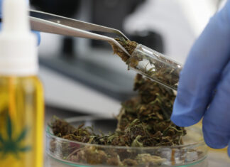 Outubro Rosa: canabidiol (CBD) se torna aliado de pacientes oncológicos canabidiol câncer