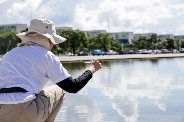 combate à dengue DF combate à dengue DF