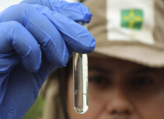 Casos de dengue no Distrito Federal caem 97% em relação ao ano passado combate à dengue df