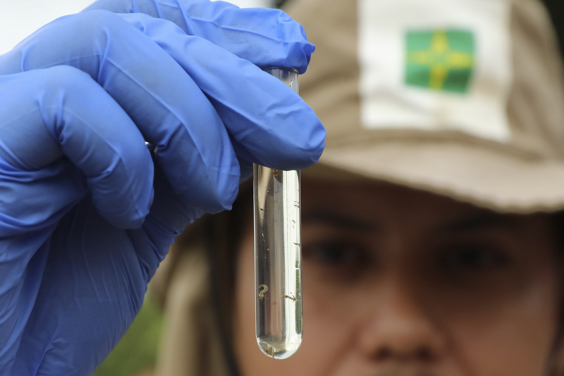 combate à dengue df