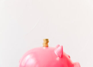 Educação financeira: DF é a segunda Unidade Federativa mais inadimplente do Brasil Educação financeira