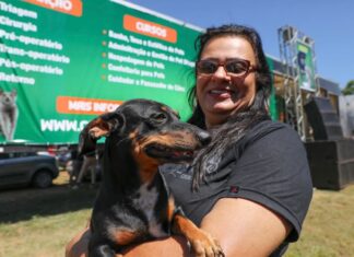 Castra-DF, programa gratuito de castração de cães e gatos