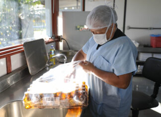 Farmácia Viva do DF produz medicamento natural