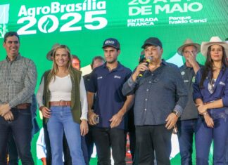 GDF institui temporada oficial da colheita de soja