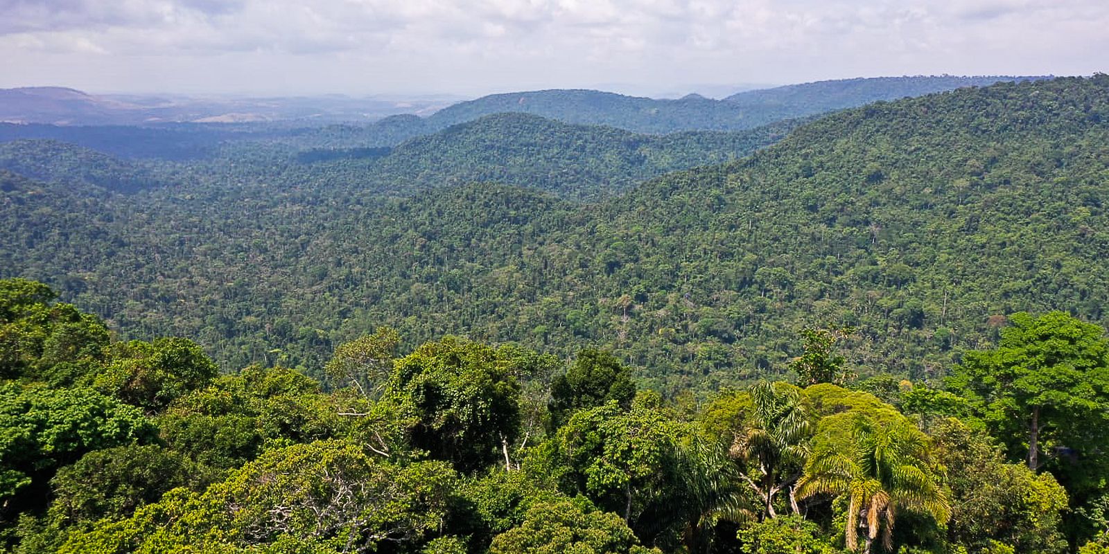 Amazônia