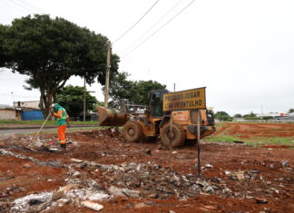 GDF promove mutirão de limpeza urbana