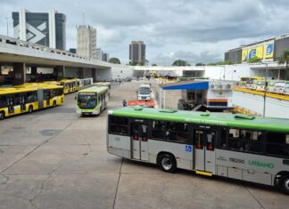 Passe Livre leva esperança a mulheres vítimas de violência no Distrito Federal