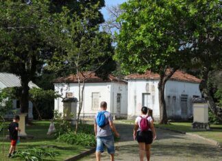 Programação no Mast lembra os 100 anos da visita de Eisntein ao Brasil Programacao no Mast