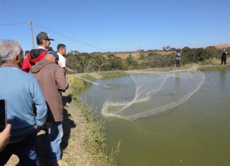 Piscicultura do DF atinge recorde histórico