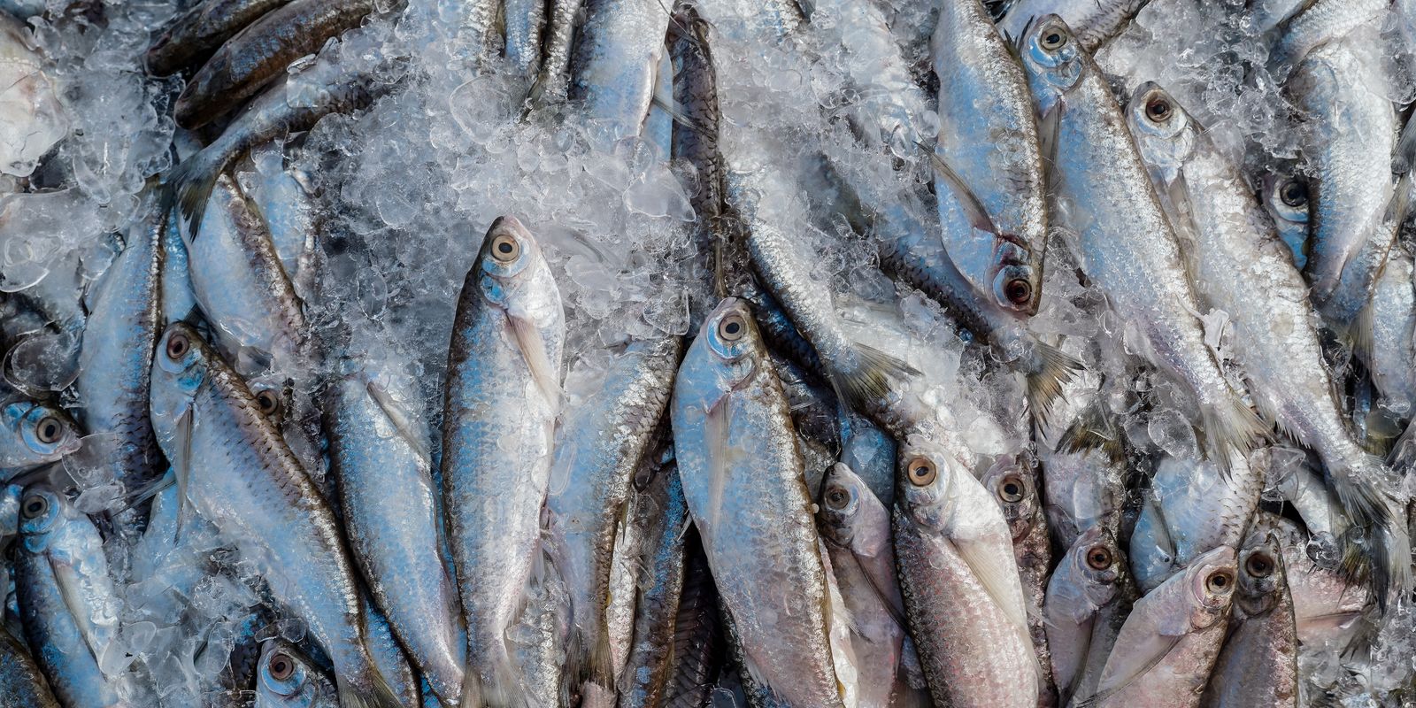 Pescados