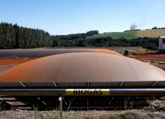 Itaipu transforma apreensões em energia limpa