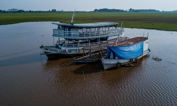 Amazonia_© Rafa Neddermeyer:Agência Brasil