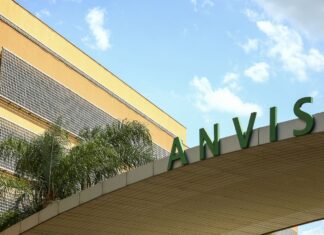 Anvisa aprova novo medicamento para câncer cerebral