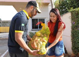 GDF supera meio milhão de cestas distribuídas