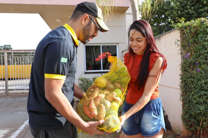 cesta verde_Lúcio Bernardo Jr.