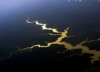 Brasil e França reforçam cooperação científica para proteger a Amazônia