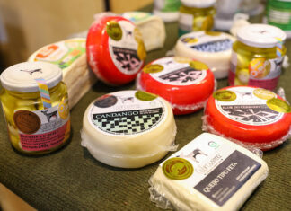 Queijos e vinhos do DF ganham destaque na Expoabra 2025