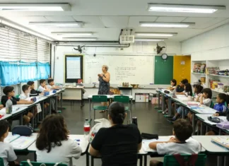 Professores terão Carteira Nacional de Docente a partir de outubro