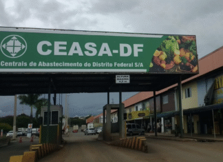 GDF inicia obras de R$ 3,3 milhões para modernizar a Ceasa-DF