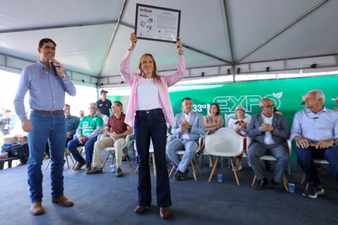 celina1_Paulo H. carvalho:Agência Brasília