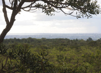 UnDF promove debate sobre bioma mais biodiverso do planeta