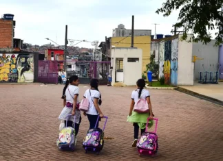 PE: Profissionais se capacitam em saúde mental nas escolas