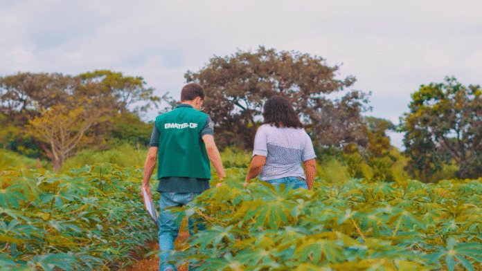 emater_Divulgação:Emater-DF