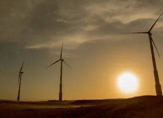 Brasil se une a 16 países por transição energética justa