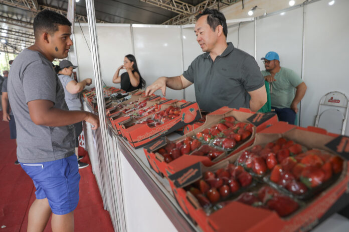 festa_morango_Geovana Albuquerque:Agência Brasília