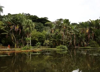 Concurso de Fotografia Limpa Brasil 2025 abre inscrições